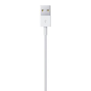 USB 2.0 to Lightning Cable (1 m)