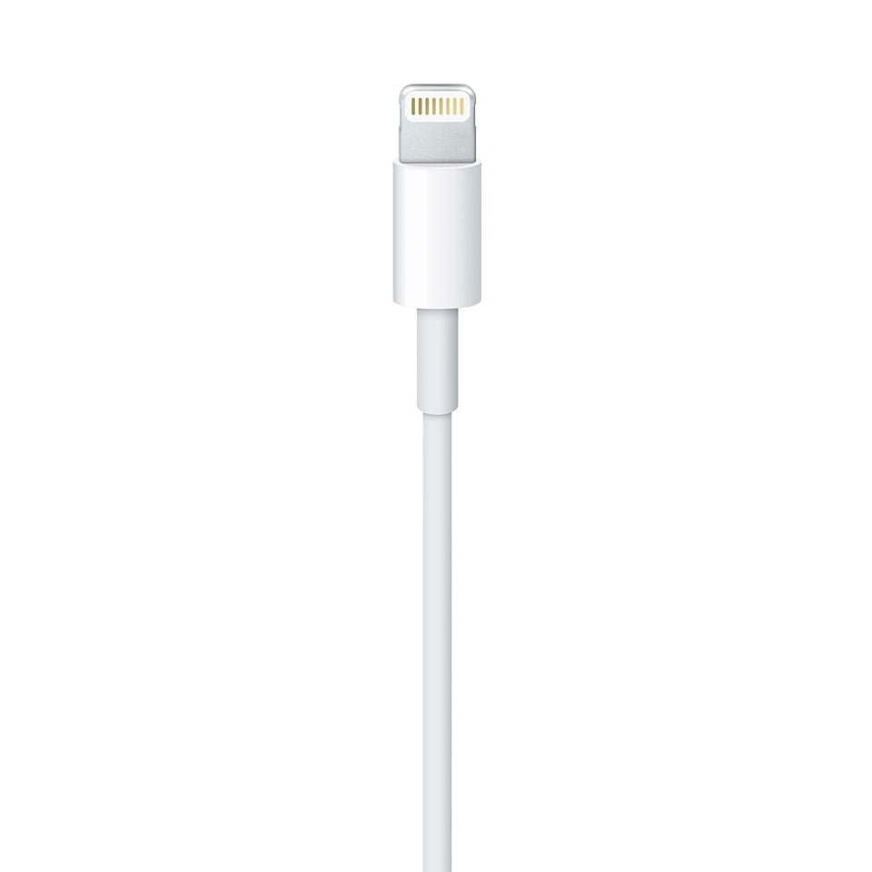 USB 2.0 to Lightning Cable (1 m)